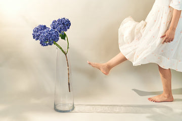 Hydrangea